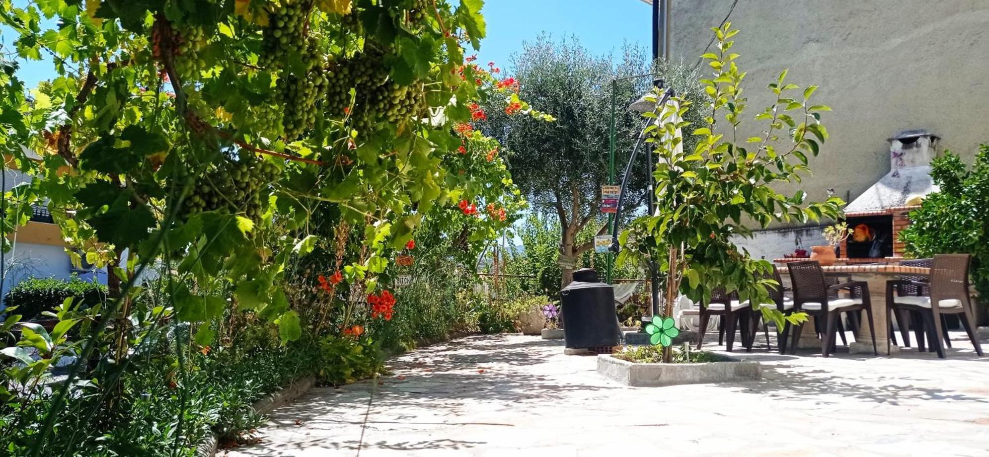 Alojamento Local Os Maias Mirandela Bagian luar foto