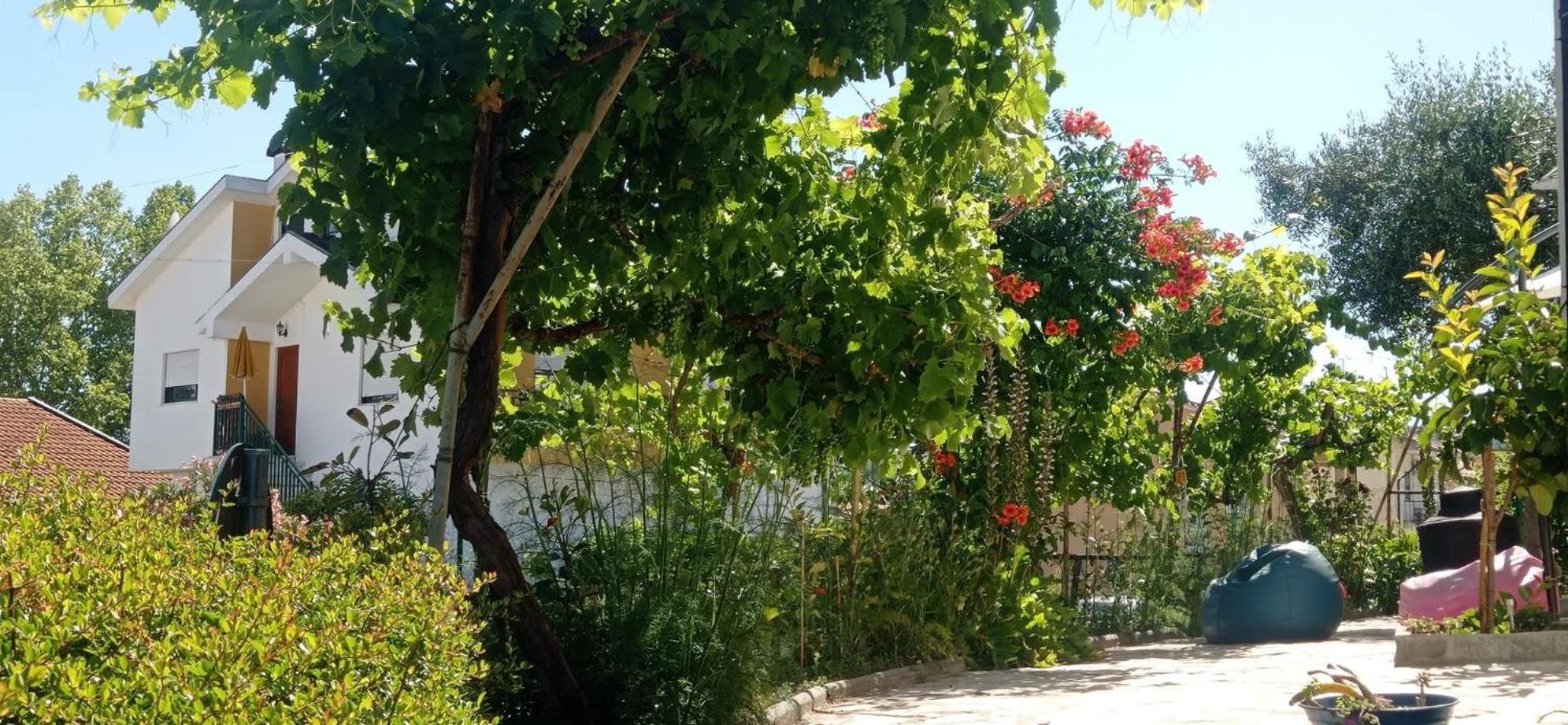 Alojamento Local Os Maias Mirandela Bagian luar foto