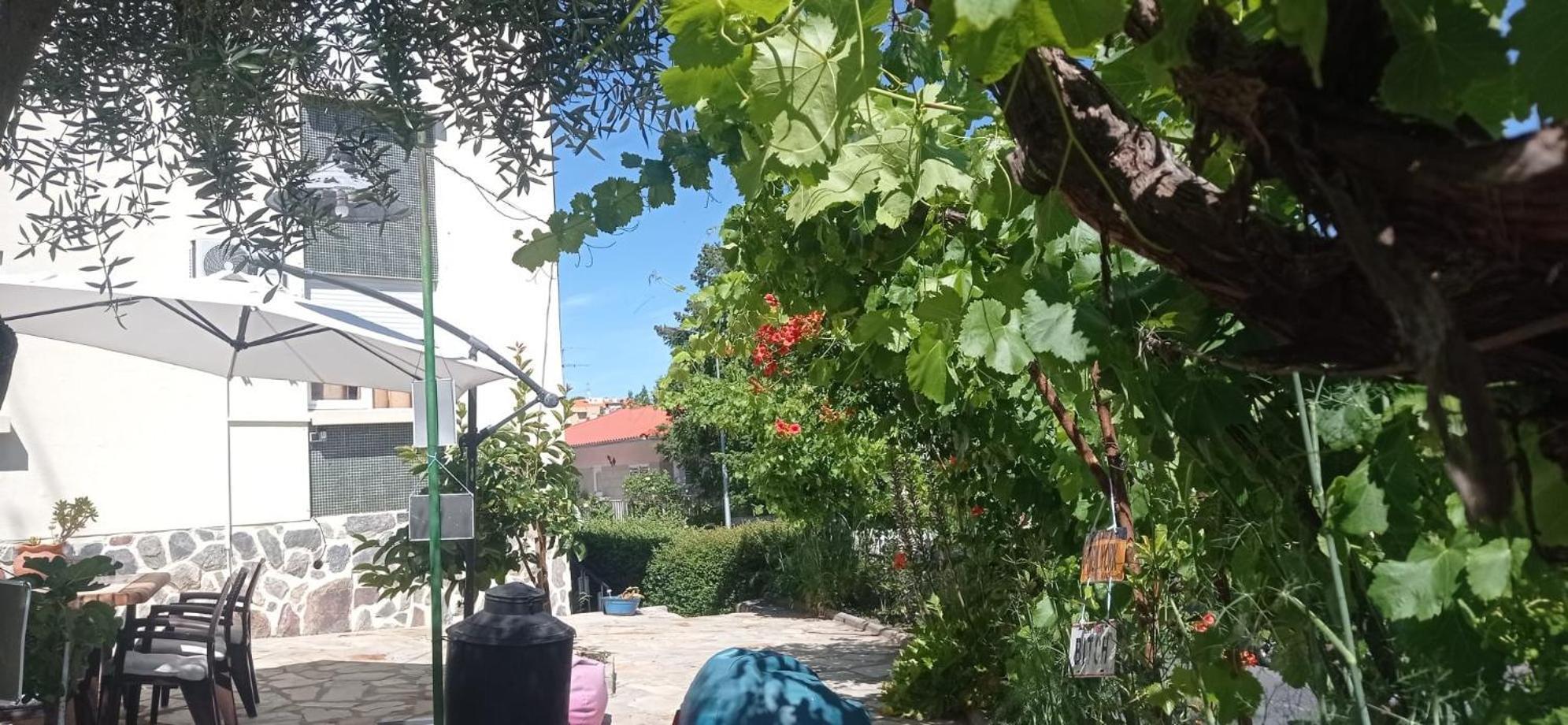 Alojamento Local Os Maias Mirandela Bagian luar foto