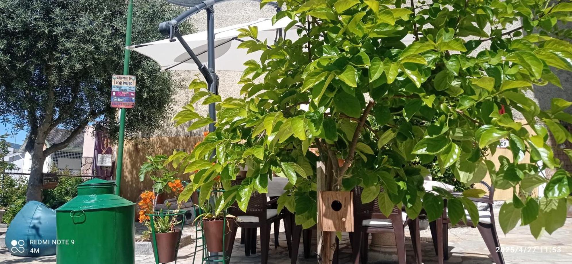 Alojamento Local Os Maias Mirandela Bagian luar foto